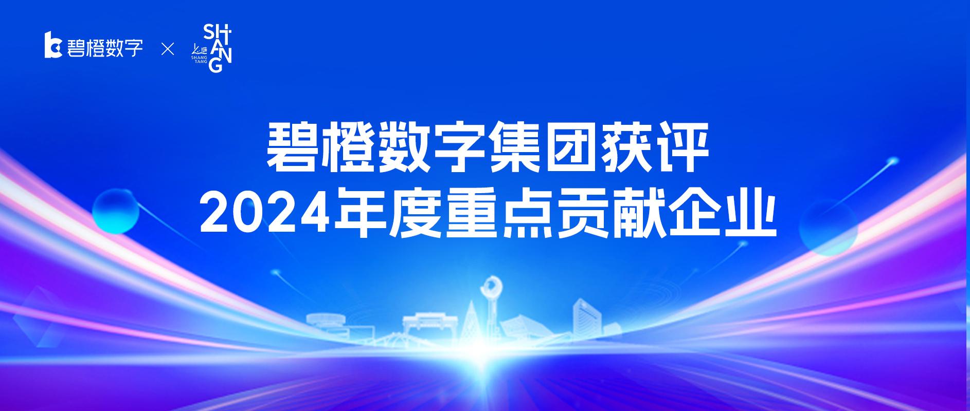向新提質 | 碧橙數字集團榮膺2024年度重點貢獻企業！